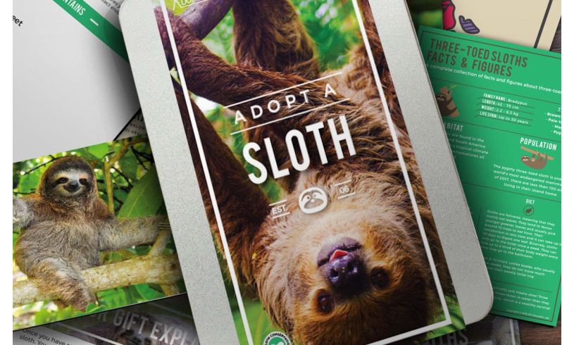 sloth plush adoption kit